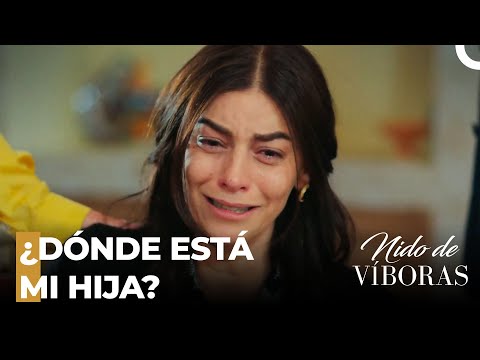 ¡El Secuestro De Defne Destruye La Mansión! - Nido De Víboras