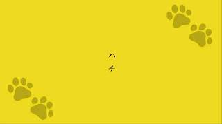 - ハチ / きるとfeat.初音ミク