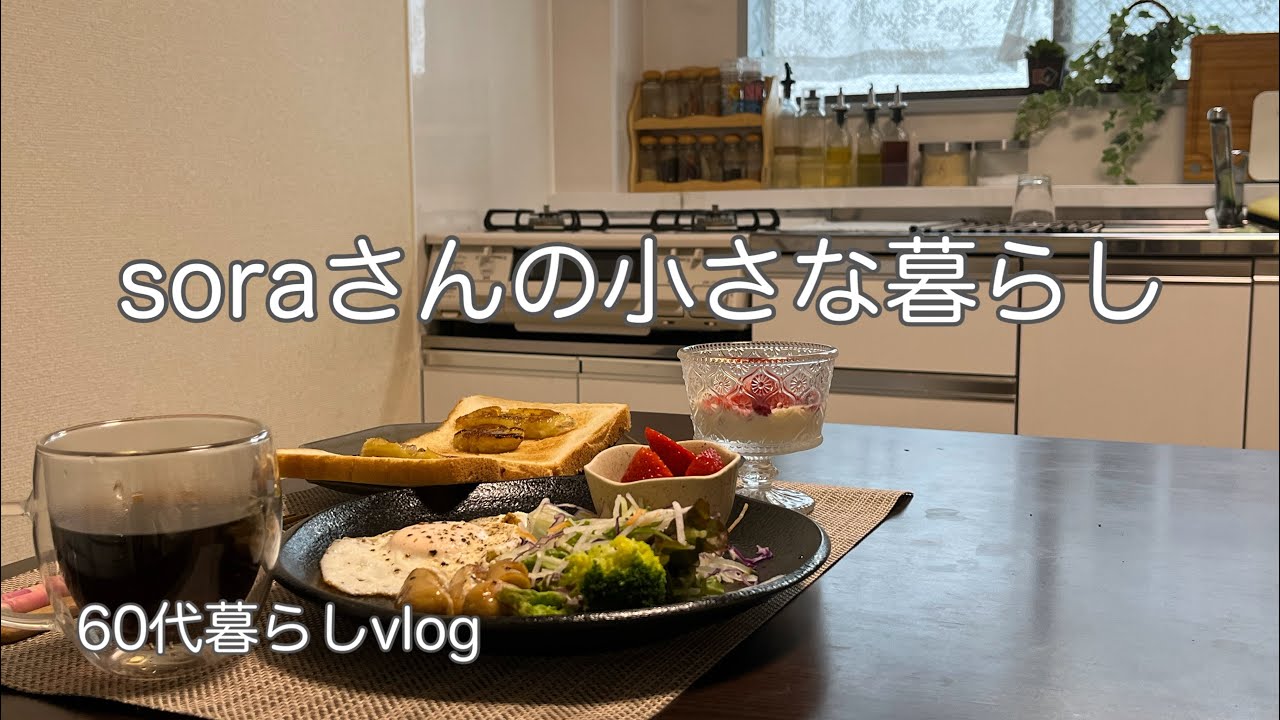 《ひとりと3匹の気ままな暮らし》落ち着かない1週間/今日の作り置き/娘の入院と手術/親子の距離感　#ひとり暮らし  #イヌとネコ