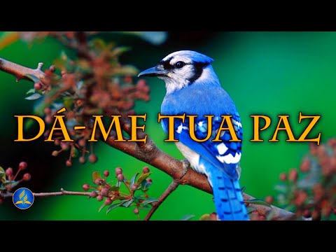 Hinário Adventista 408 - DÁ-ME TUA PAZ