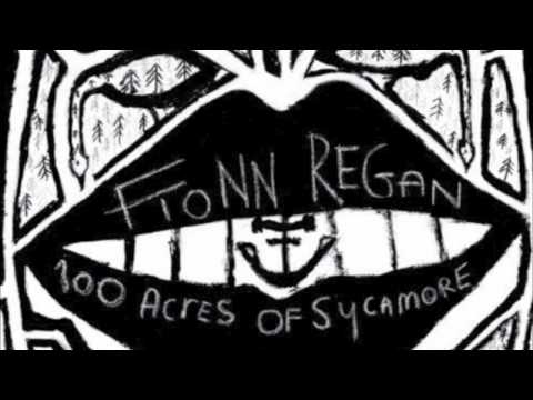 Fionn Regan - For A Nightingale