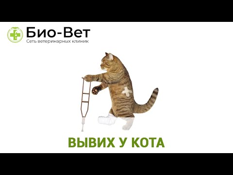 Если сильно ломит суставы Рентгенологические признаки артрита коленного сустава