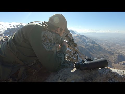 BEZOAR IBEX TURKISH FRONTIER & STEPHAN ANDREW SKAGGS