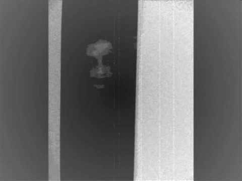 Darkrealm-Release The Wolves