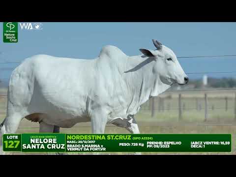 LOTE 127   GPO A3334,4094