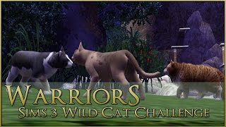 The First Gathering of the Clans 🌿 Warrior Cats Sims 3 Legacy - Episode #33