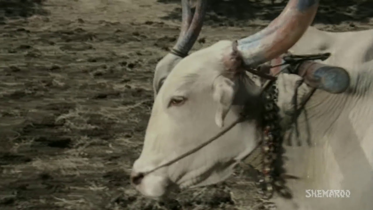 Raakhandaar (HD) | Popular Marathi Movie | Nilu Phule | Ravinda Mahajani | Usha Naik | Full Movie