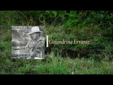 Jorge Guerrero - Golondrina Errante