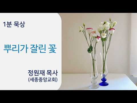 YouTube 영상 썸네일