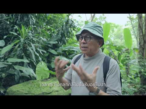 สารคดี 3 นาทีจิตอาสา EP 3 | คุณชาญชัย พินทุเสน