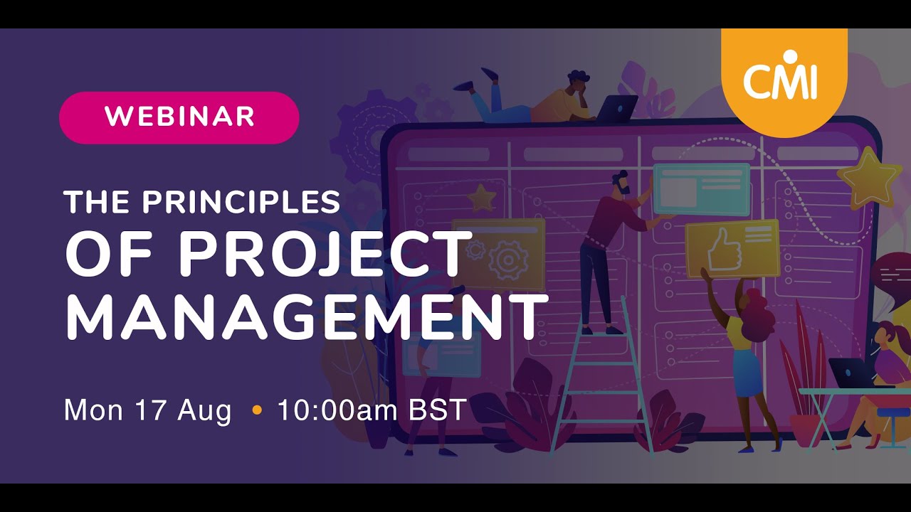The Principles of Project Management