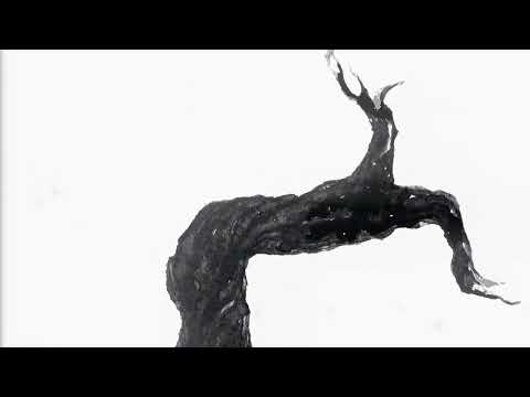 Obična pjesma - Zvonimir Golob (interpretacija Zrinko Kapetanić)