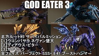 【GE3】北方ルート#5 全フェイズ パーフェクト SSS+ ハンマー