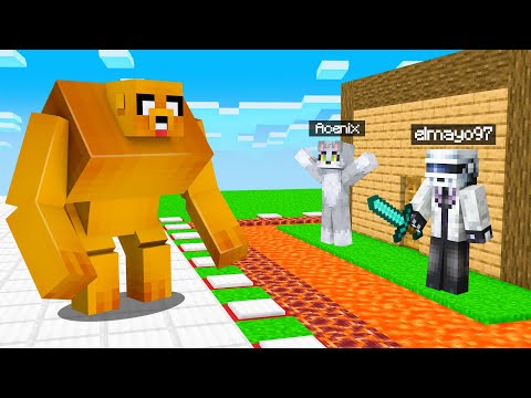 elmayo97 - Mutant Youtuber VS Minecraft's Safest House