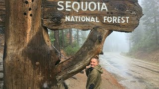 ALBERI GIGANTI AL SEQUOIA NATIONAL PARK! || Gemminamakeup