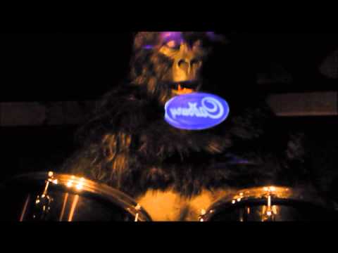 Cadbury drumming monkey!