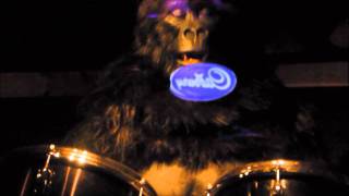 Cadbury drumming monkey!