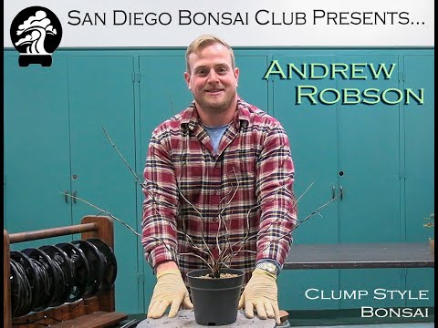 Andrew Robson - SDBC December 2025