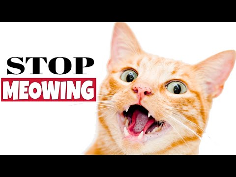 Sound To Stop Cat From Meowing