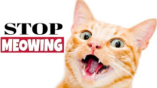 Sound To Stop Cat From Meowing