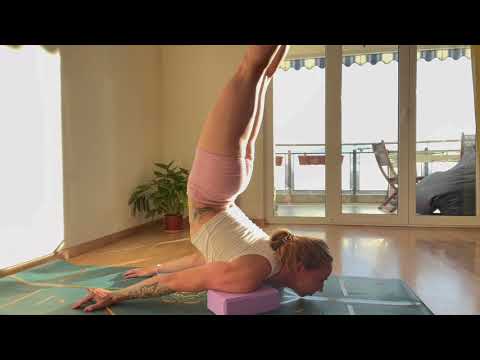 Teachers Chin and Chest Stand Muscle Strength and Control - Yoga and Fitness with Rhyanna