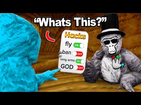 I Pretended To Be a New Player WIth HACKS!