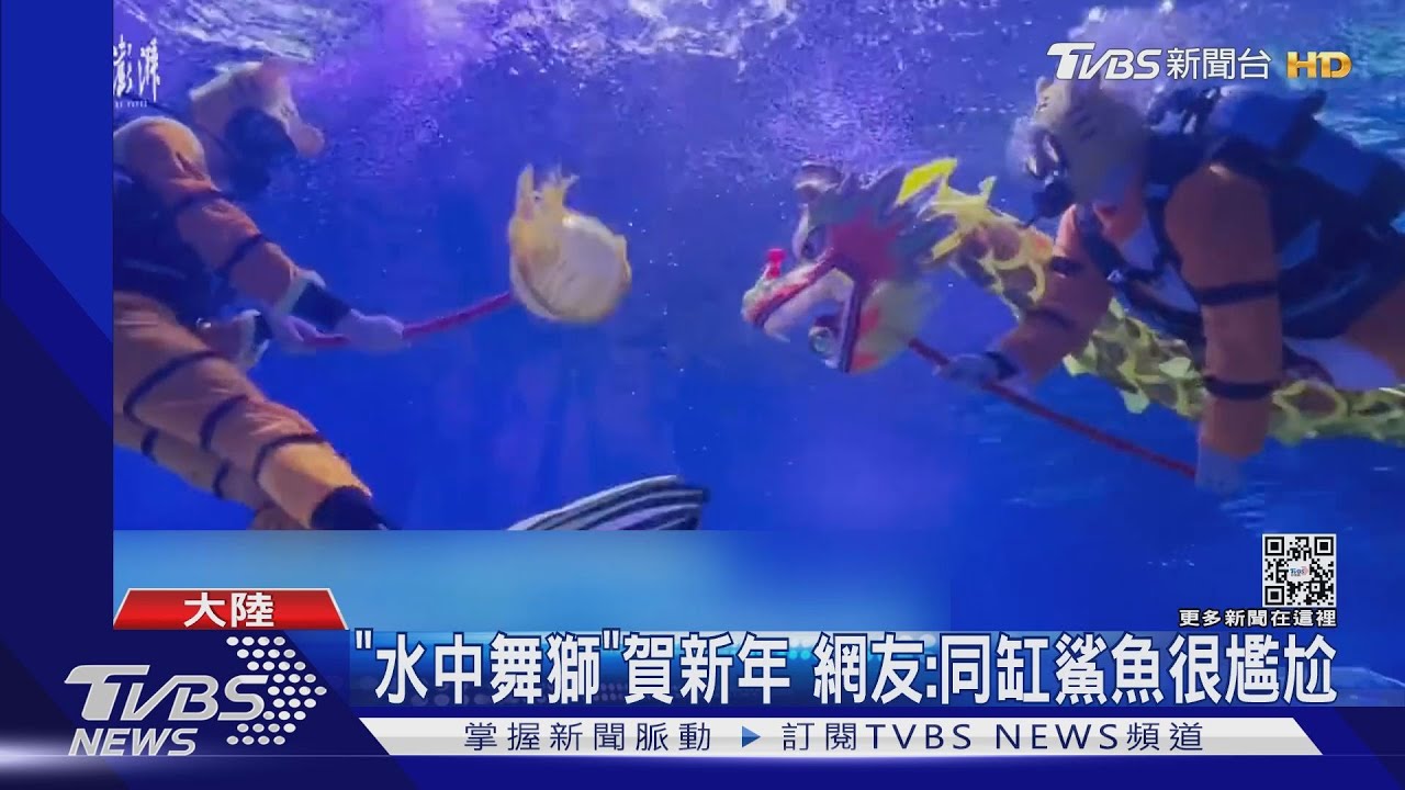 「水中舞獅」賀新年 網友:同缸鯊魚很尷尬