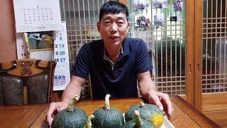최고로 맛있는 단호박 재배방법과 수확한 단호박 쪄서 먹어보겠습니다.