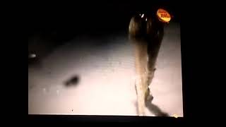 Download lagu DESFILE DO ACADEMICOS DO LIMÃO COM MEL 1986 Sbt CONGONHAS SANTANA DO AGRESTE mp3 Download lagu DESFILE DO ACADEMICOS DO LIMÃO COM MEL 1986 Sbt CONGONHAS SANTANA DO AGRESTE mp3