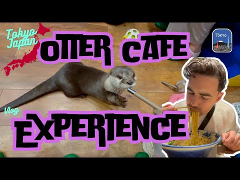 Otter Experience in Japan + Exploring Takeshita Street | Vlog!