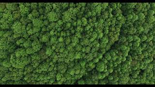 Download lagu Beautiful Quran Recitation Abdul Rahman Mossad Calming Sourat As Sajda mp3 Download lagu Beautiful Quran Recitation Abdul Rahman Mossad Calming Sourat As Sajda mp3