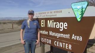 Geology in the El Mirage Dry Lakebed
