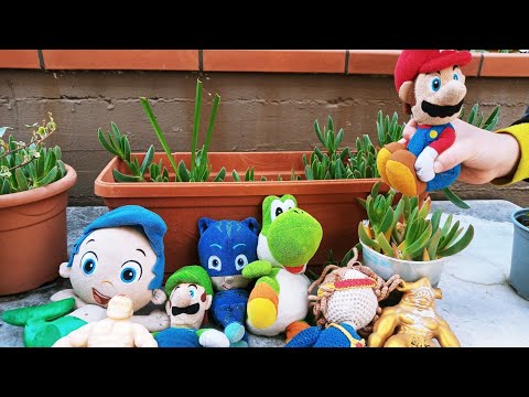 El jardin de PLUSH!!!!!