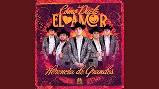 No Regreses Lyrics English Translation