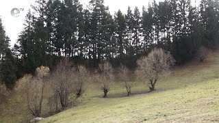 Община Смолян ще проектира и изгради ски писта в рамките на града