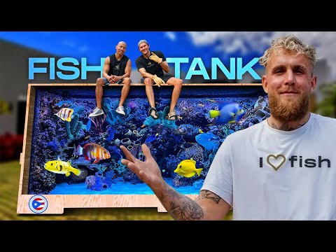 We Built Jake Paul a Custom Aquarium For His Puerto Rico Home