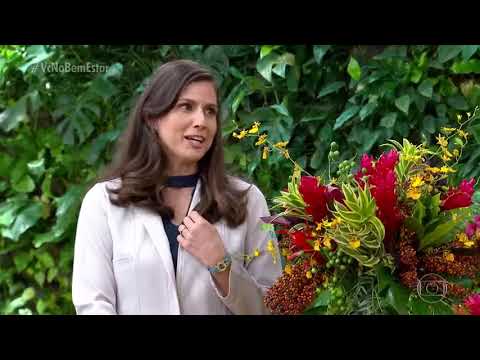 Programa Bem Estar de Quinta Feira 15/11/2018 Completo