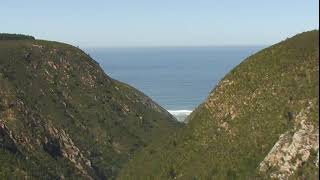 途中広告なし Bloukrans Bridge Bungy