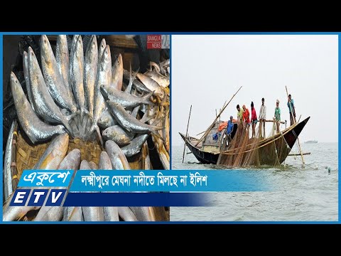 লক্ষ্মীপুরে মেঘনা নদীতে মিলছে না ইলিশ | ETV News