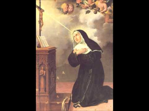 o rato derrubou - Toinho de Aripibu