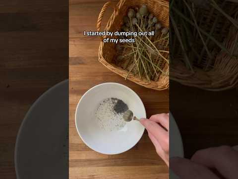 Growing Breadseed Poppy For My Own Poppy Seeds! #backyardgardening #growyourown #backyardhomestead