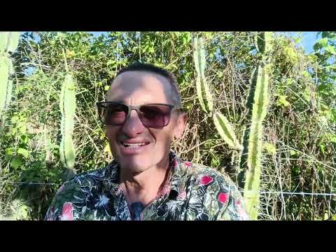 Sítio Urubeba de Caetés  PE 