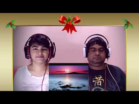 BERTIE HIGGINS Key Largo REACTION