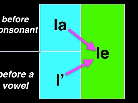 Definite Articles in Italian