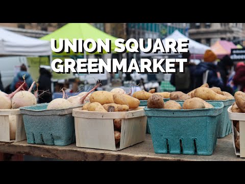 Shopping at the Union Square Greenmarket in NYC | Winter Farmer's Market Tour