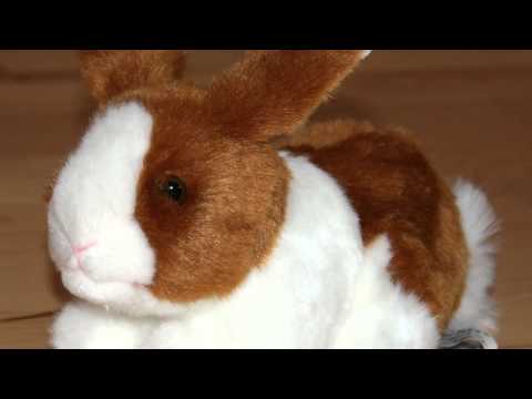 Hopsi - Bezzte Leben