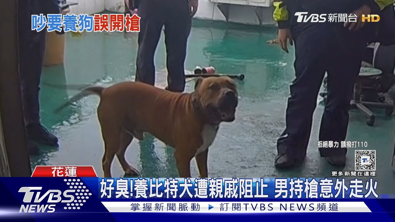 好臭!養比特犬遭親戚阻止 男持槍意外走火