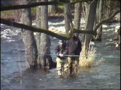 Mörrum River salmonfishing