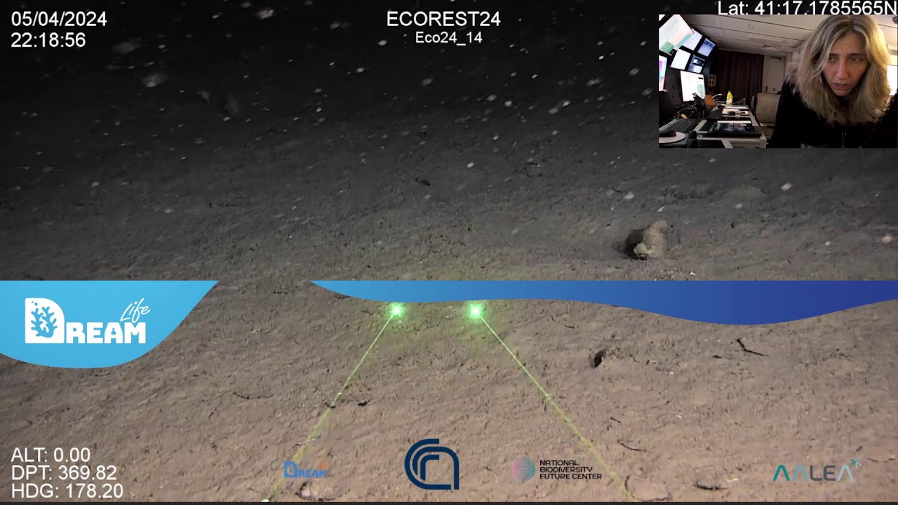 Life Dream — Gaia Blu: Corals in the dark