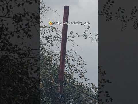 نائف الوافي